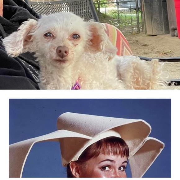 Award Winning unique art •Service •Quality •Fast Shipping• Friendly• 💜 - Picture 15 of 16